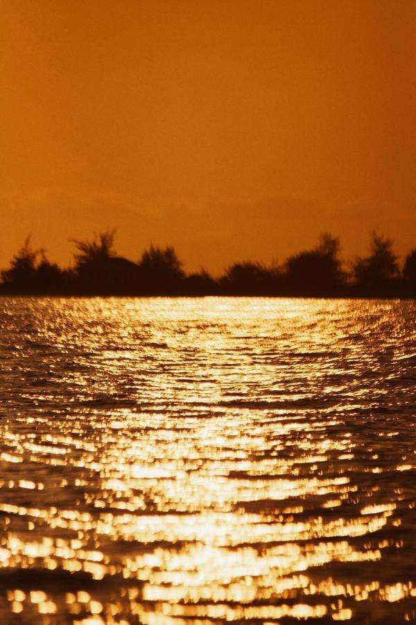 Coral Heaven Sunset View Inn Guraidhoo  Eksteriør billede